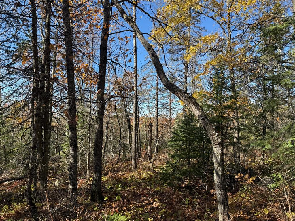 TBD French Rd. Chisholm MN 55719 6805686 image52