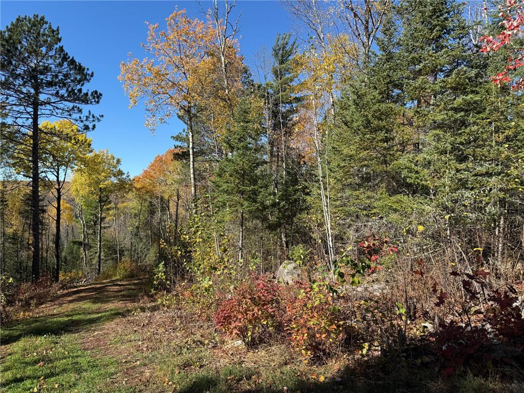 TBD French Rd. Chisholm MN 55719 6805686 image53