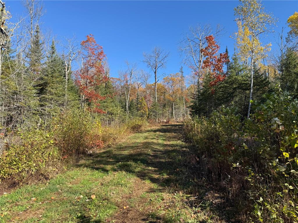 TBD French Rd. Chisholm MN 55719 6805686 image54