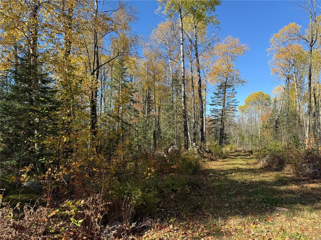 TBD French Rd. Chisholm MN 55719 6805686 image56