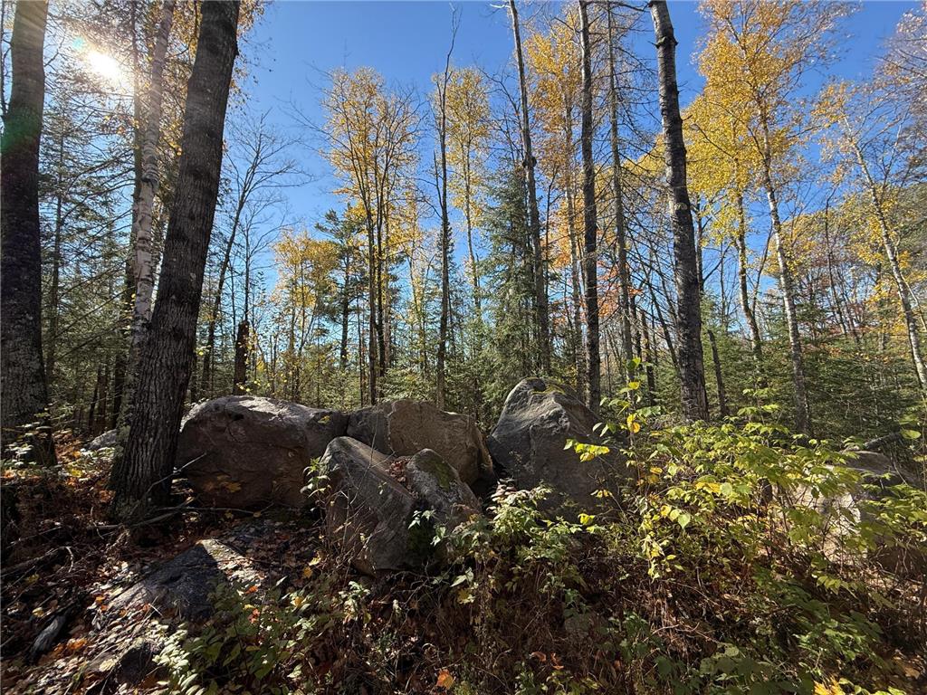 TBD French Rd. Chisholm MN 55719 6805686 image57