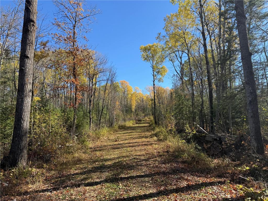 TBD French Rd. Chisholm MN 55719 6805686 image58