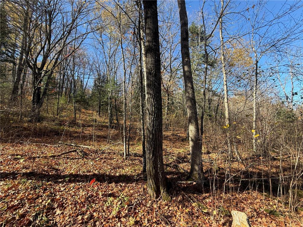 TBD French Rd. Chisholm MN 55719 6805686 image60