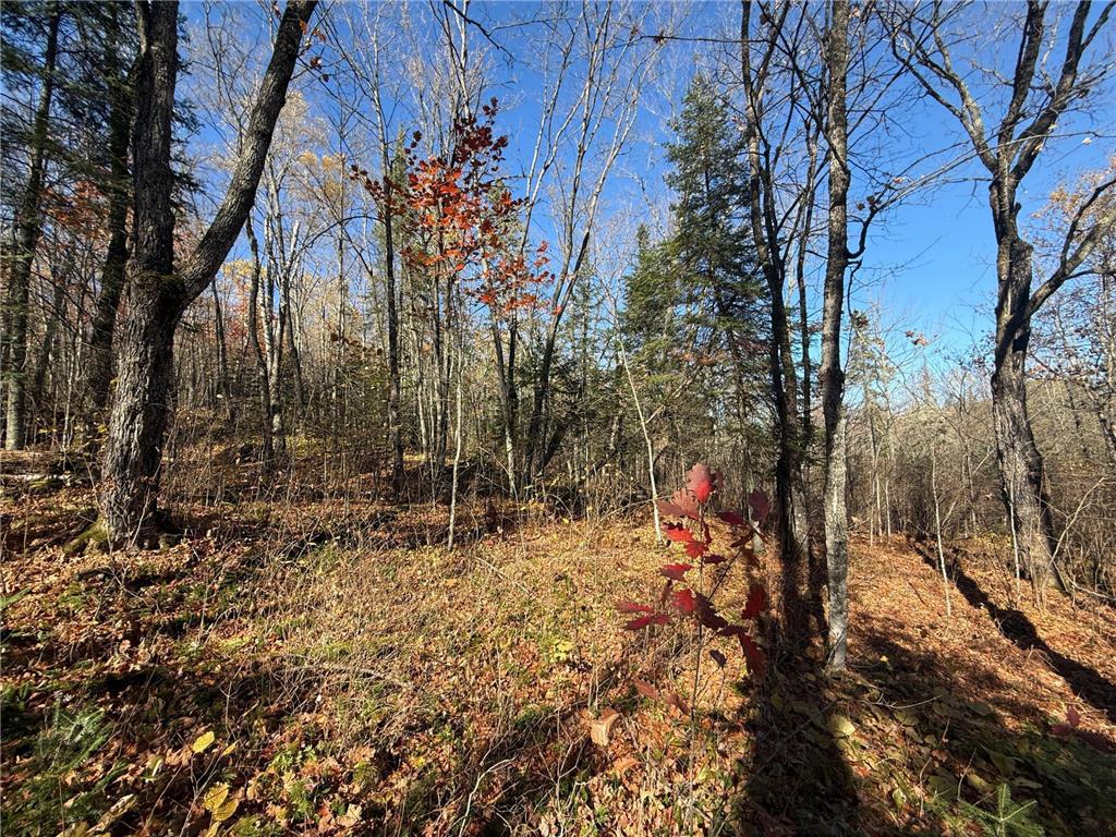 TBD French Rd. Chisholm MN 55719 6805686 image62