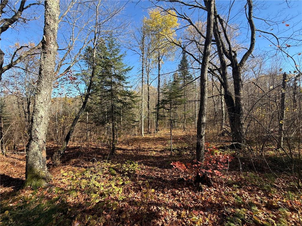 TBD French Rd. Chisholm MN 55719 6805686 image63