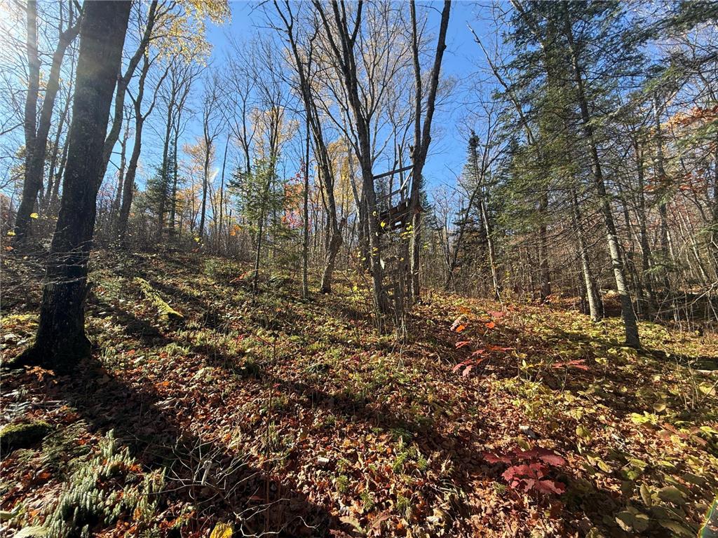 TBD French Rd. Chisholm MN 55719 6805686 image64