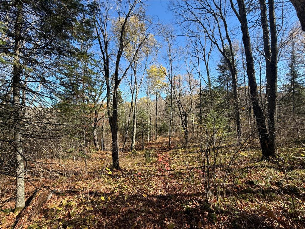 TBD French Rd. Chisholm MN 55719 6805686 image65