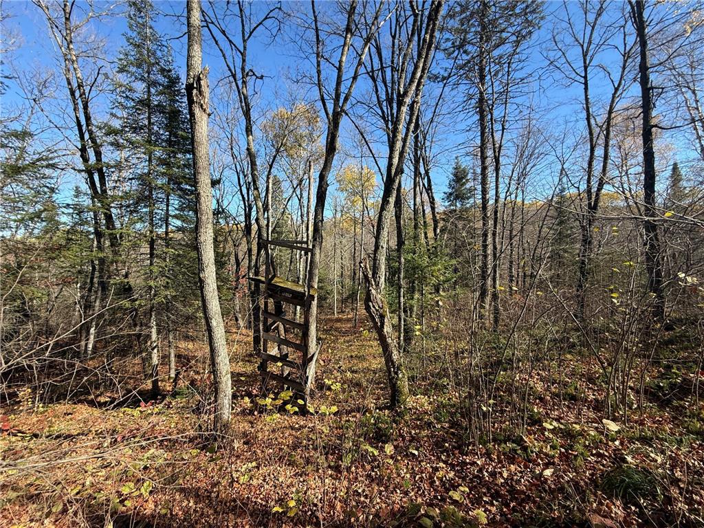 TBD French Rd. Chisholm MN 55719 6805686 image66