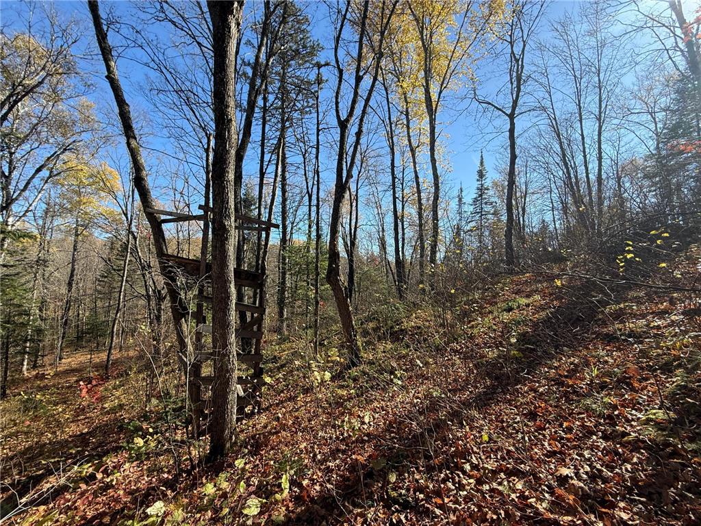 TBD French Rd. Chisholm MN 55719 6805686 image67