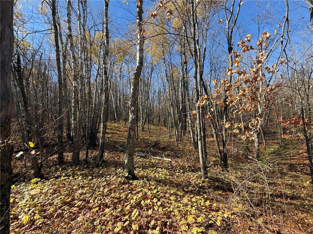 TBD French Rd. Chisholm MN 55719 6805686 image68