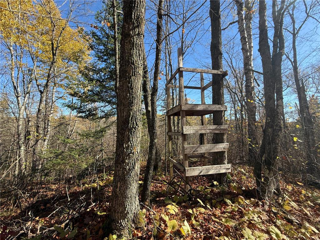 TBD French Rd. Chisholm MN 55719 6805686 image69