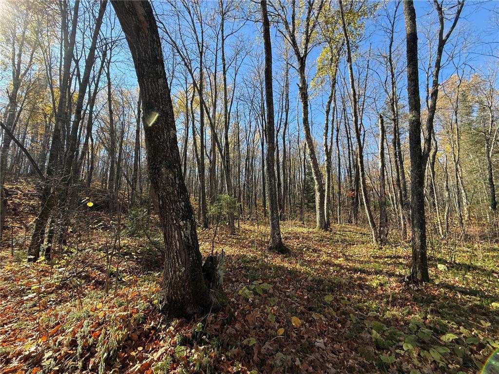 TBD French Rd. Chisholm MN 55719 6805686 image74