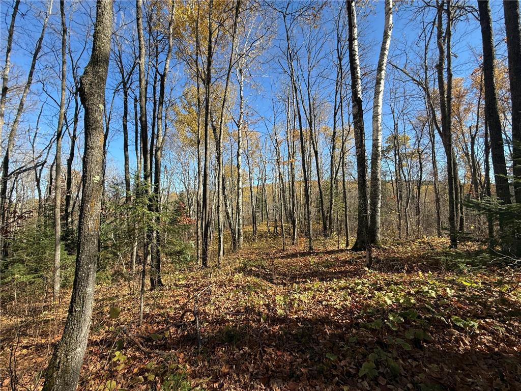 TBD French Rd. Chisholm MN 55719 6805686 image75