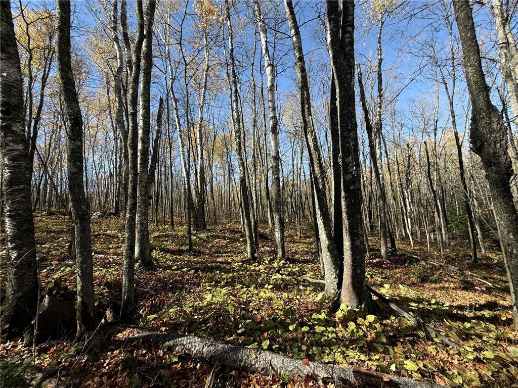 TBD French Rd. Chisholm MN 55719 6805686 image76