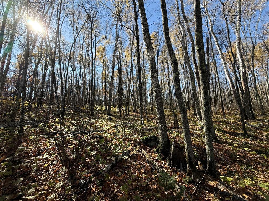 TBD French Rd. Chisholm MN 55719 6805686 image77