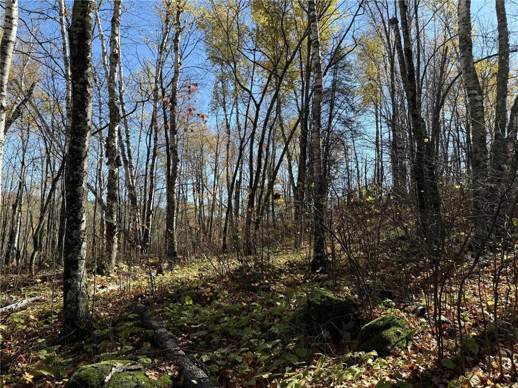 TBD French Rd. Chisholm MN 55719 6805686 image78