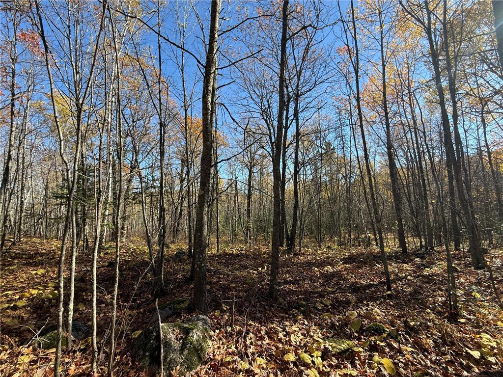 TBD French Rd. Chisholm MN 55719 6805686 image79