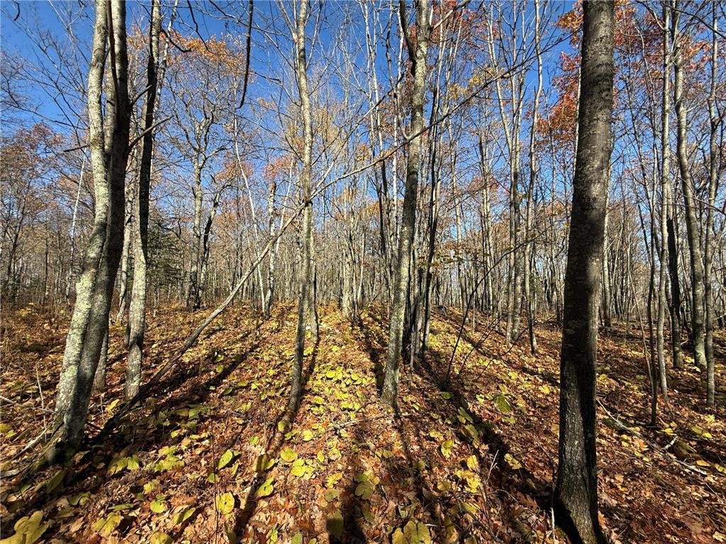 TBD French Rd. Chisholm MN 55719 6805686 image80