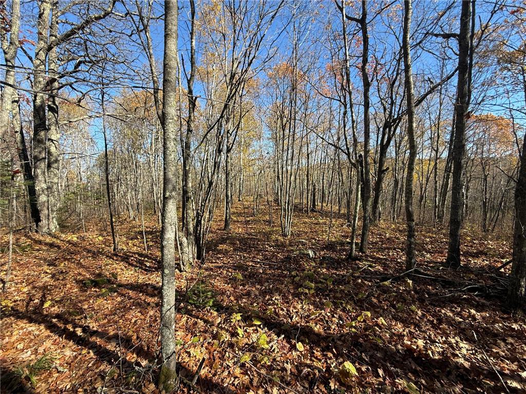 TBD French Rd. Chisholm MN 55719 6805686 image81