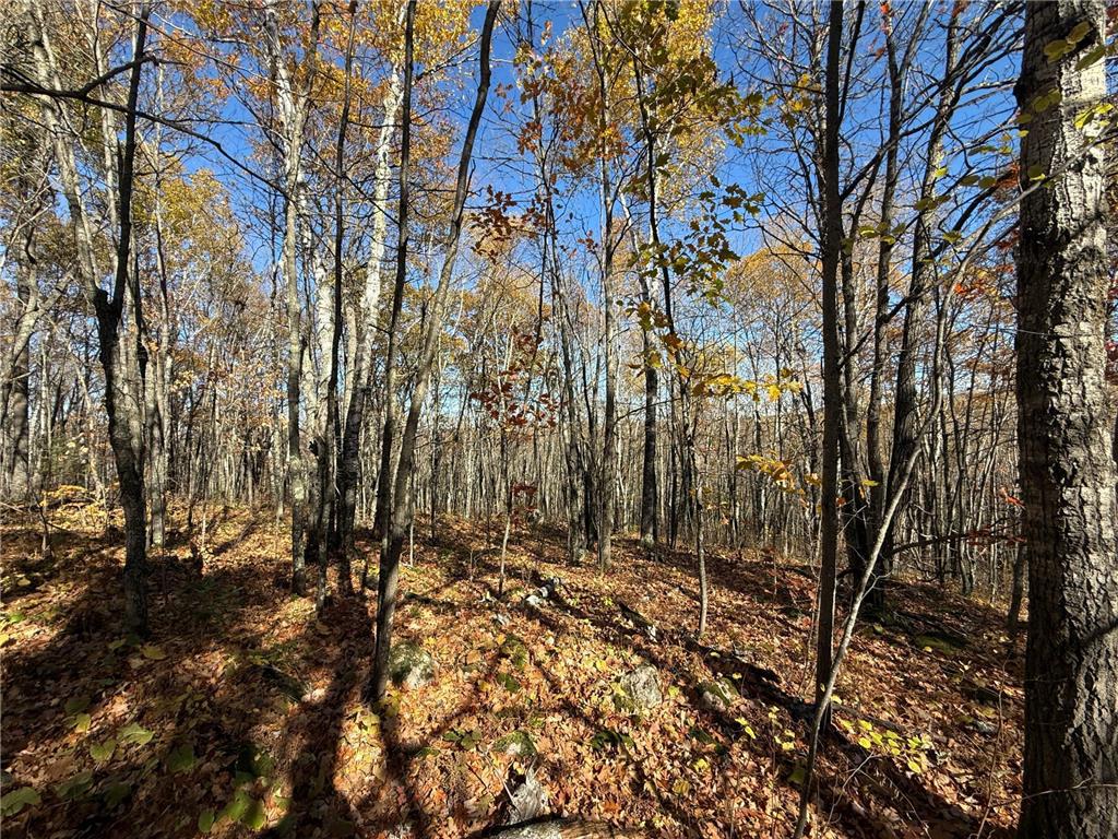 TBD French Rd. Chisholm MN 55719 6805686 image82