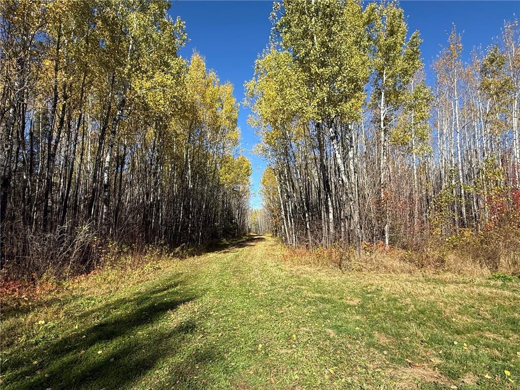 TBD French Rd. Chisholm MN 55719 6805686 image85