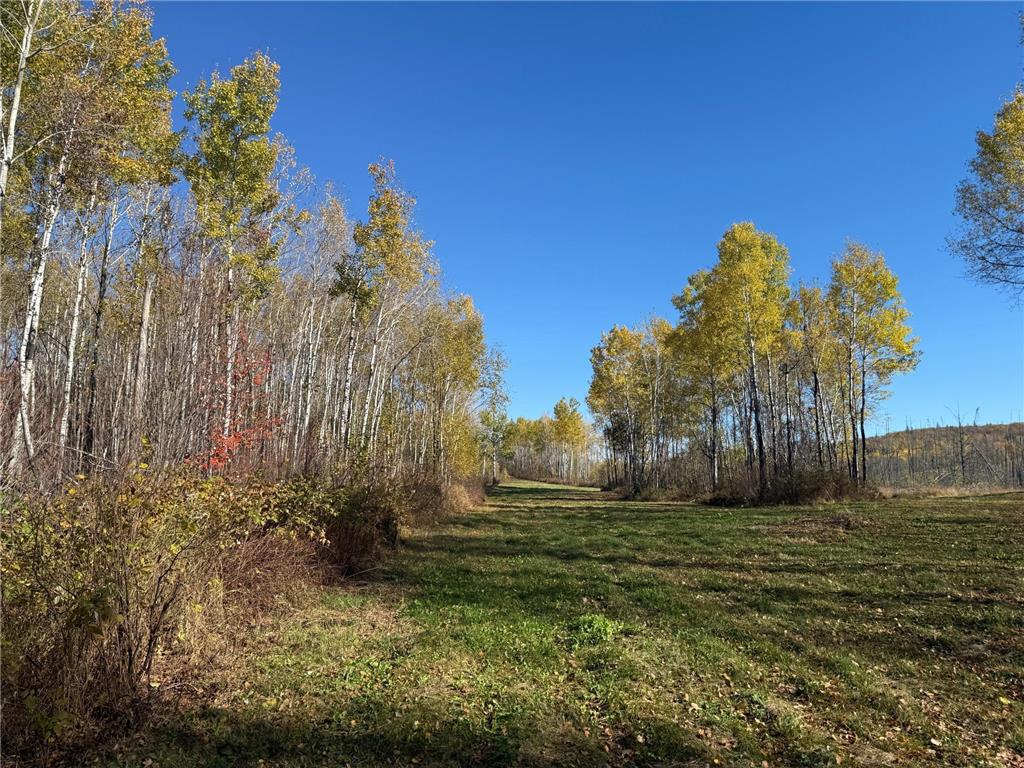 TBD French Rd. Chisholm MN 55719 6805686 image86