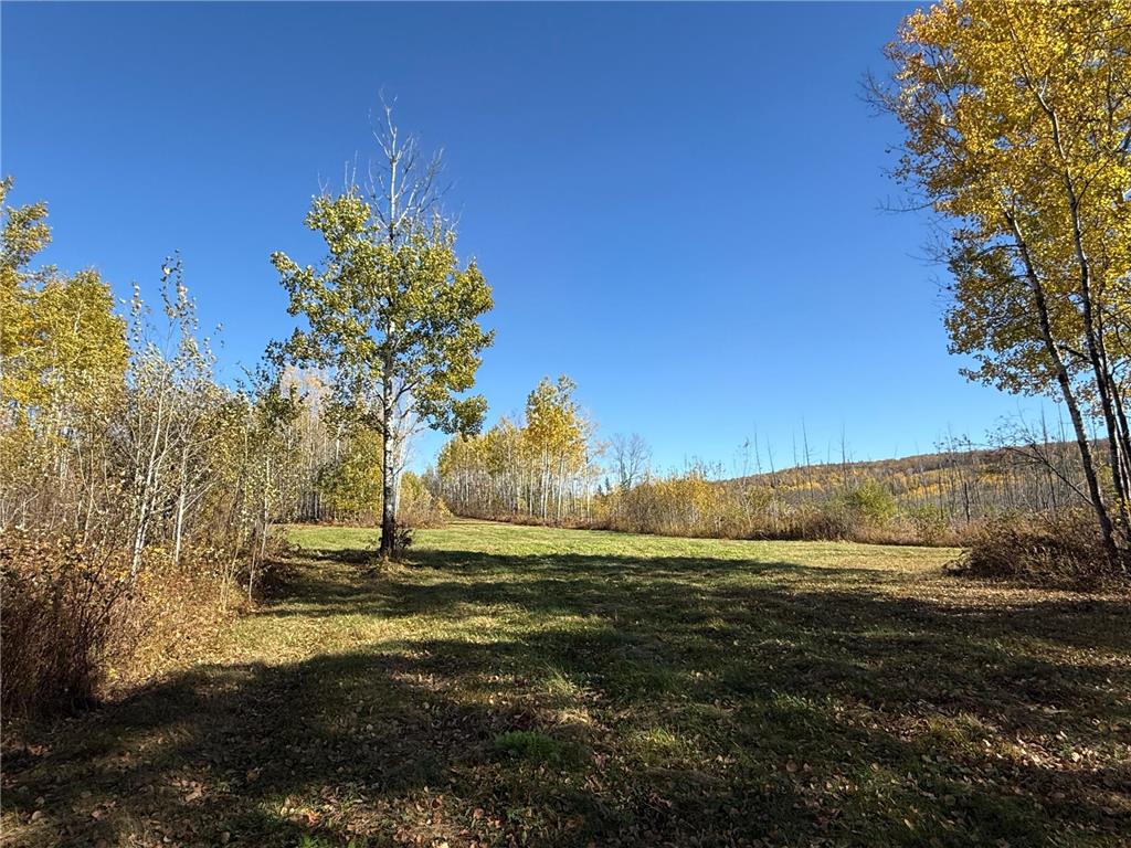 TBD French Rd. Chisholm MN 55719 6805686 image88