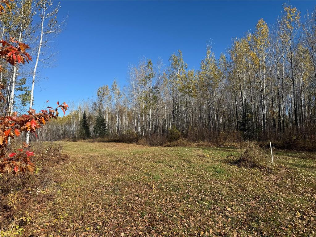 TBD French Rd. Chisholm MN 55719 6805686 image89