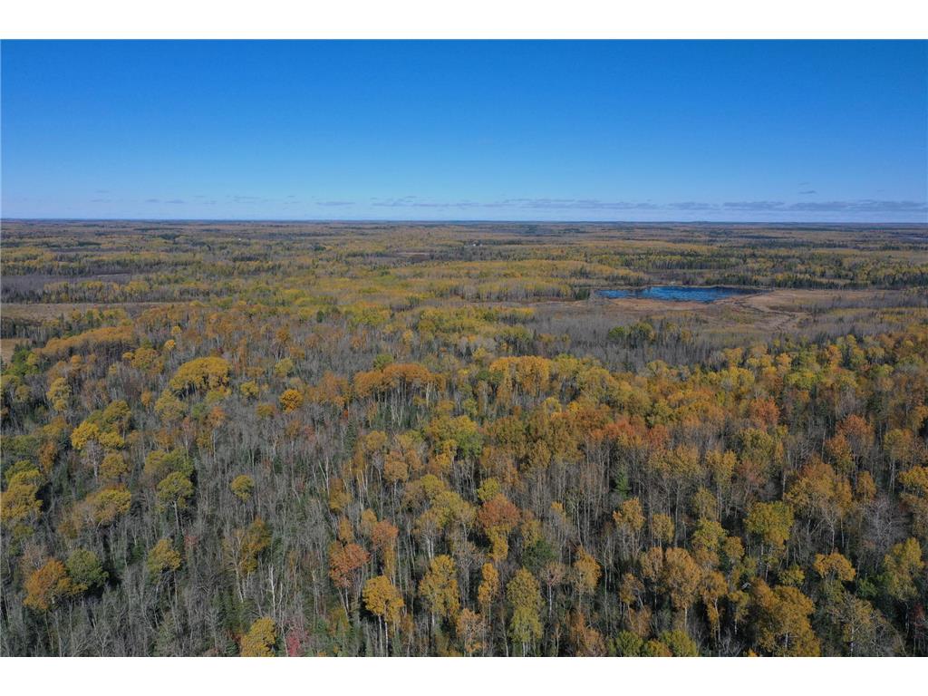 TBD French Rd. Chisholm MN 55719 6805686 image9