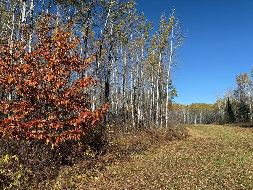 TBD French Rd. Chisholm MN 55719 6805686 image90