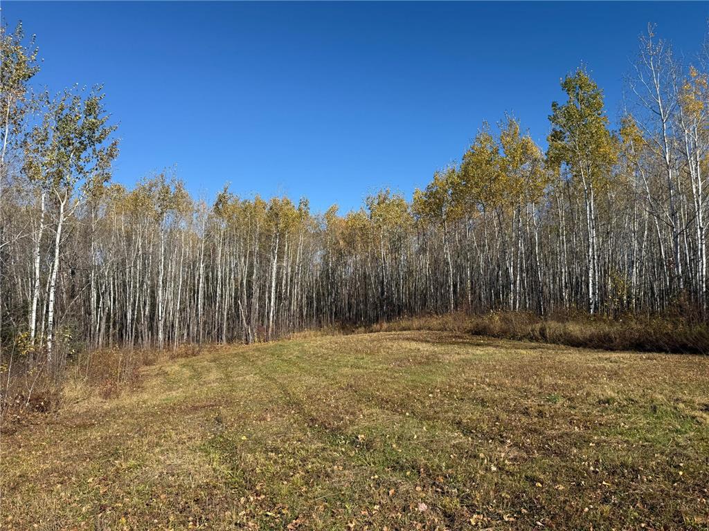 TBD French Rd. Chisholm MN 55719 6805686 image92