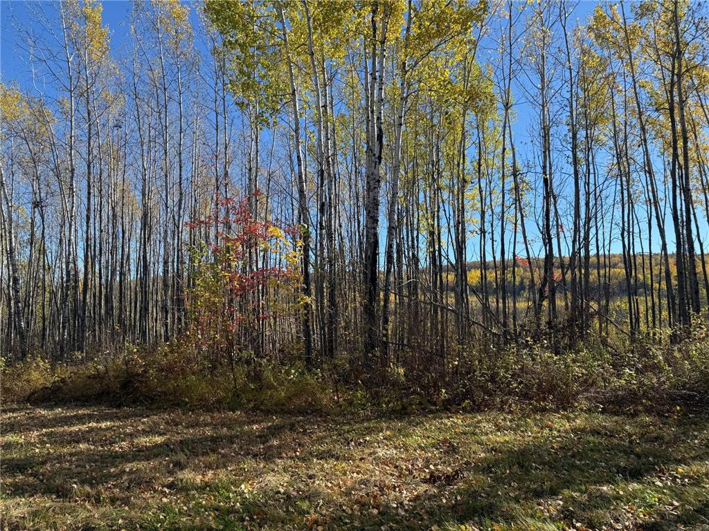 TBD French Rd. Chisholm MN 55719 6805686 image96