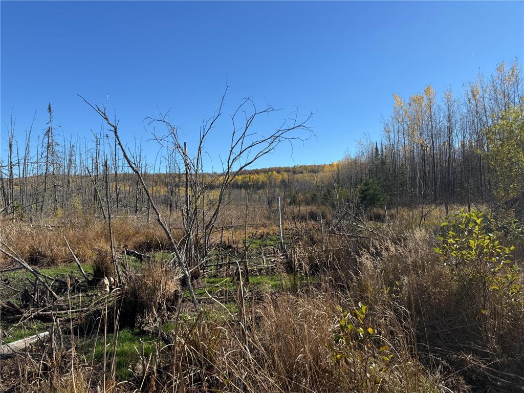 TBD French Rd. Chisholm MN 55719 6805686 image97