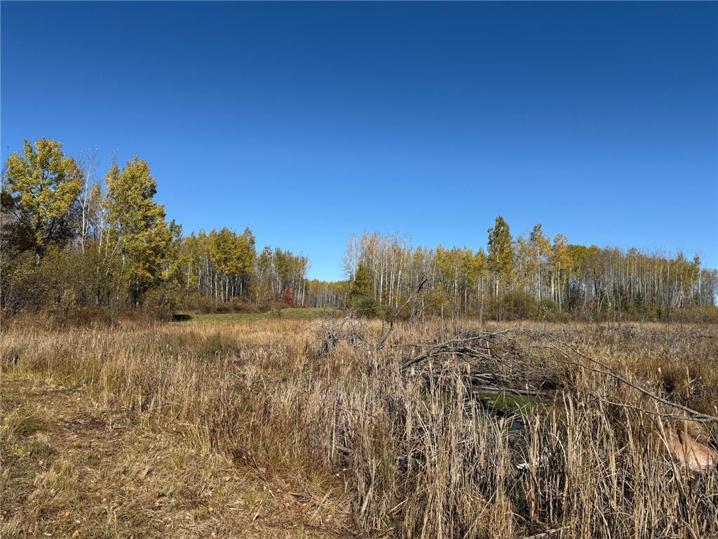 TBD French Rd. Chisholm MN 55719 6805686 image98