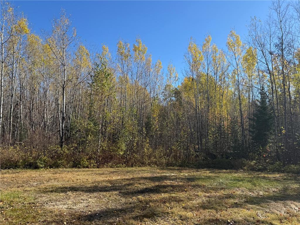 TBD French Rd. Chisholm MN 55719 6805686 image99