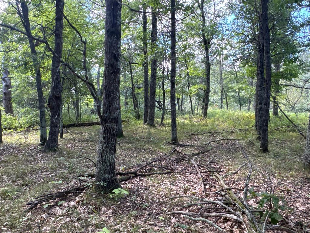 TBD French Road Oakland WI 54830 6789635 image1