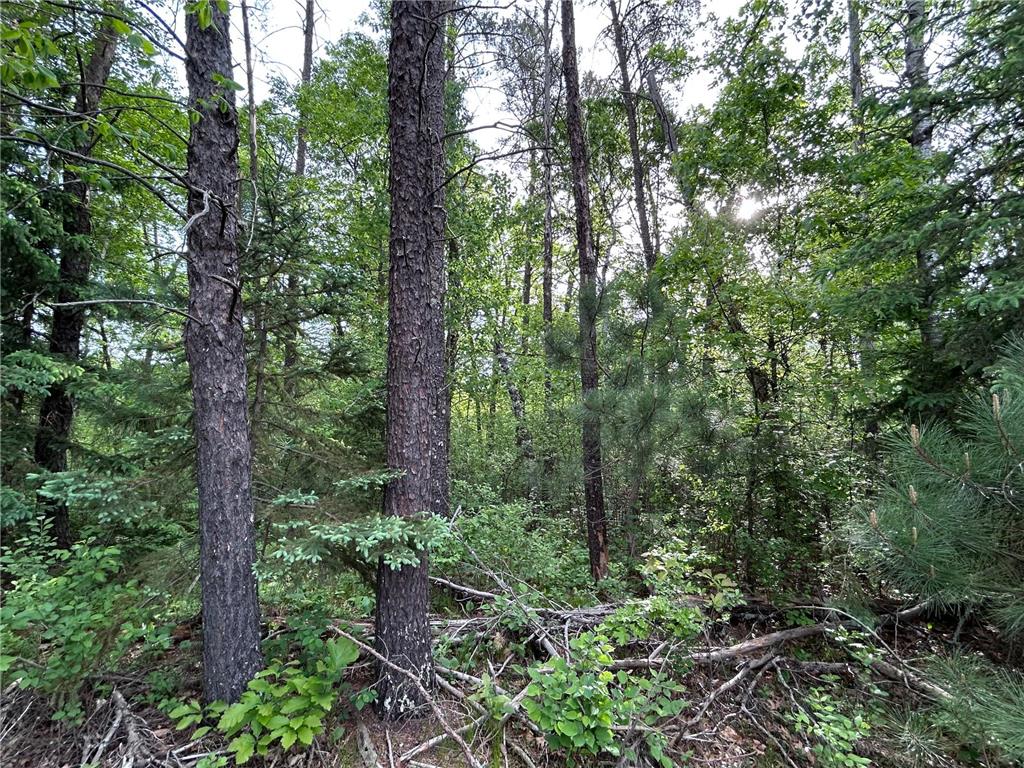 TBD Front Street Wilson Twp MN 56474 - Pine River 7085506 image4