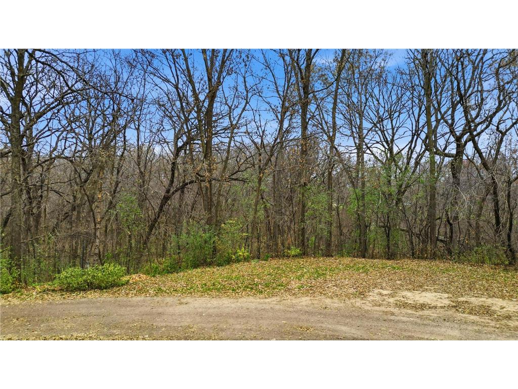 TBD Furlong Trail Hastings MN 55033 6818252 image12
