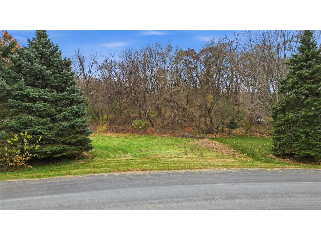 TBD Furlong Trail Hastings MN 55033 6818252 image3
