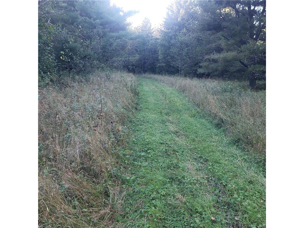 TBD Gamma rd Kabetogama Twp MN 56669 7015526 image2