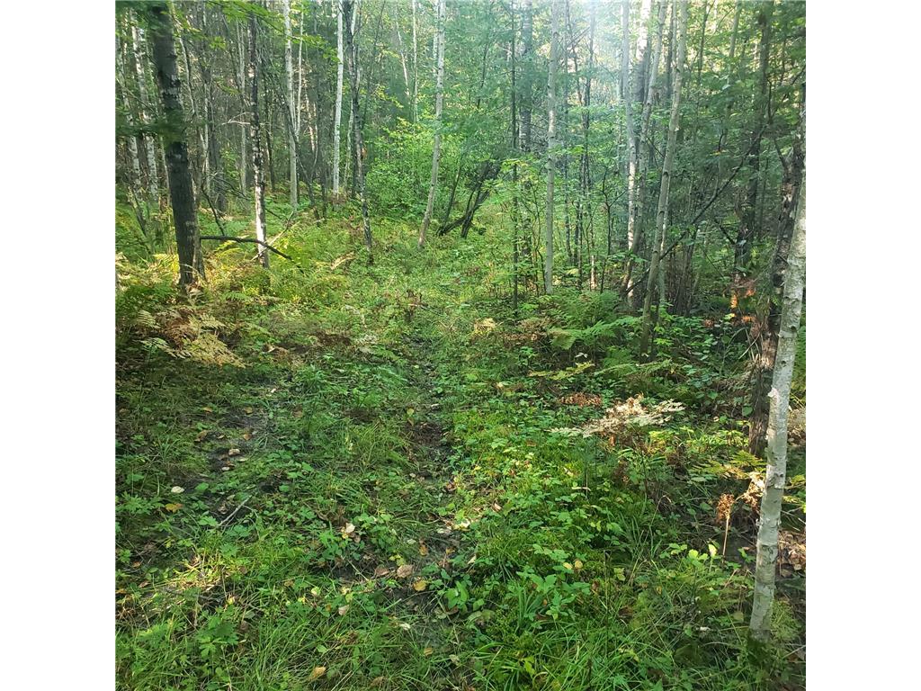 TBD Gamma rd Kabetogama Twp MN 56669 7015526 image3