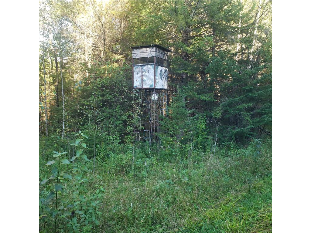 TBD Gamma rd Kabetogama Twp MN 56669 7015526 image4