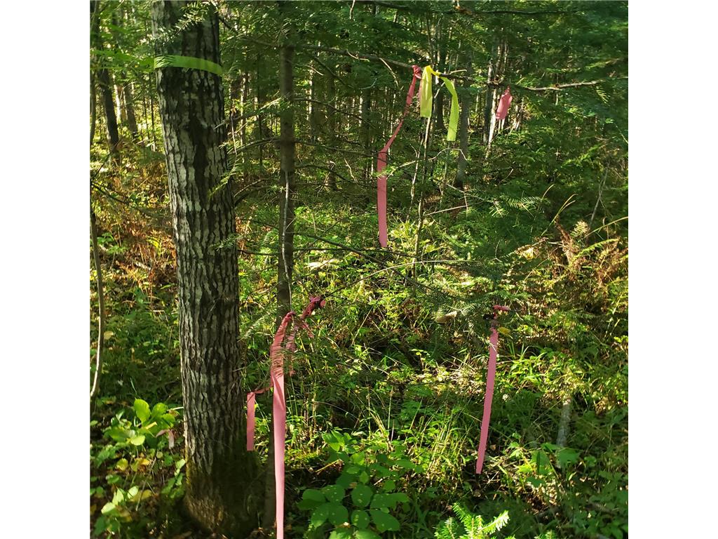 TBD Gamma rd Kabetogama Twp MN 56669 7015526 image6