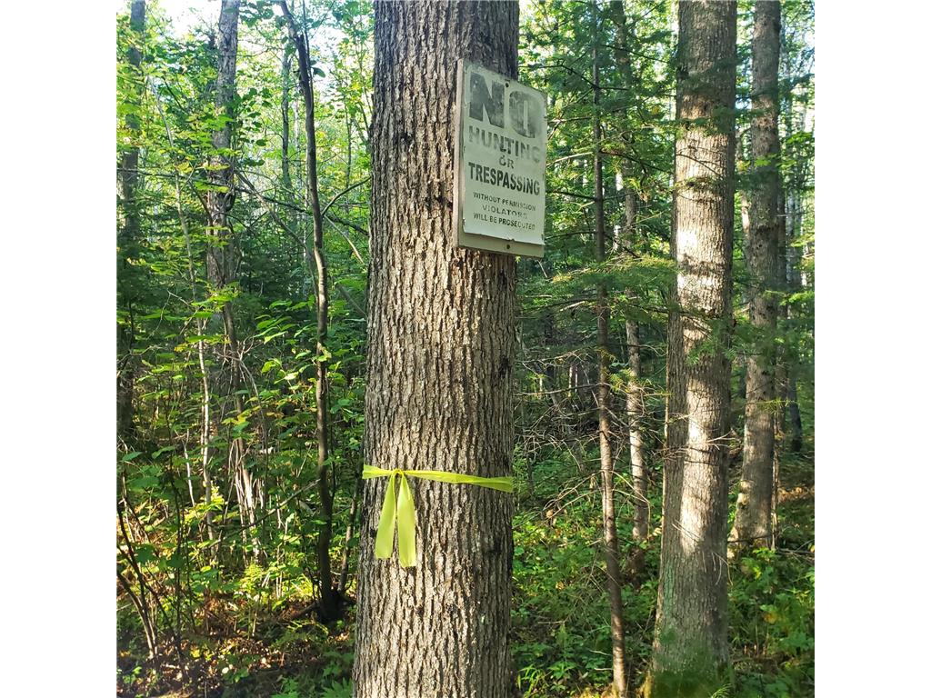 TBD Gamma rd Kabetogama Twp MN 56669 7015526 image7