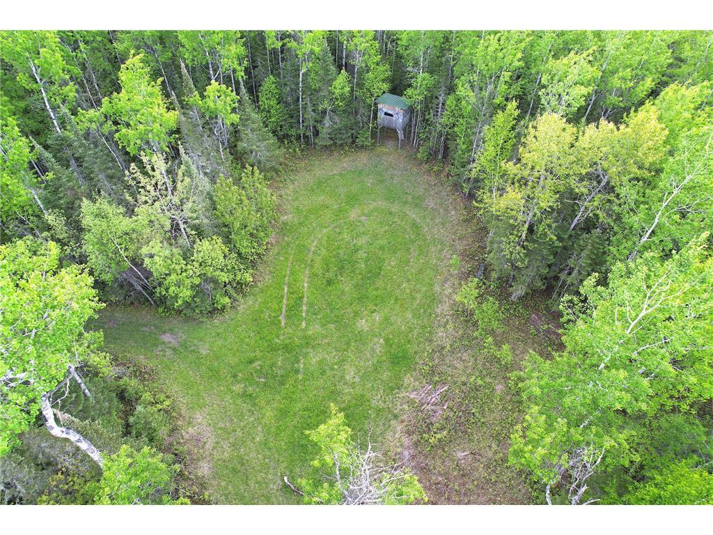 TBD Gappa Road Kabetogama Twp MN 56669 6717025 image1