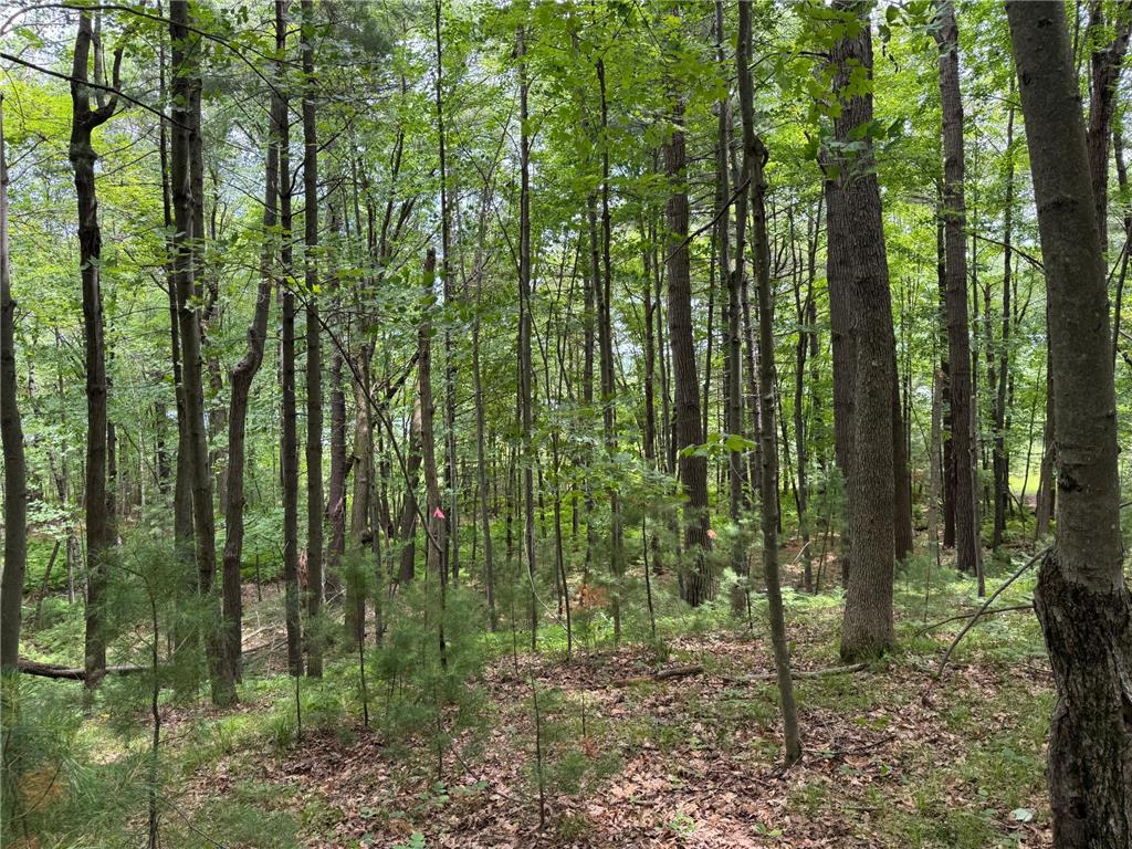 TBD Garden Dr Siren WI 54872 - Long Lake 7104970 image1