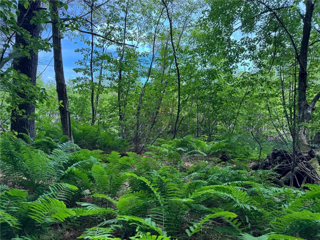 TBD Garden Dr Siren WI 54872 - Long Lake 7104970 image11