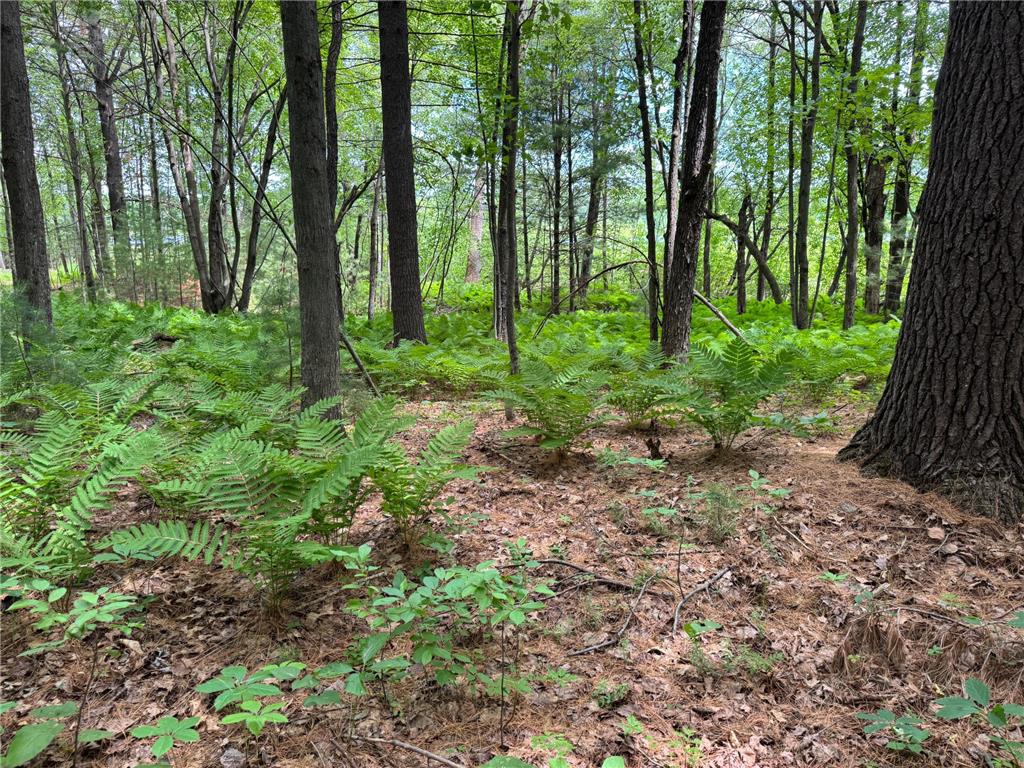 TBD Garden Dr Siren WI 54872 - Long Lake 7104970 image12