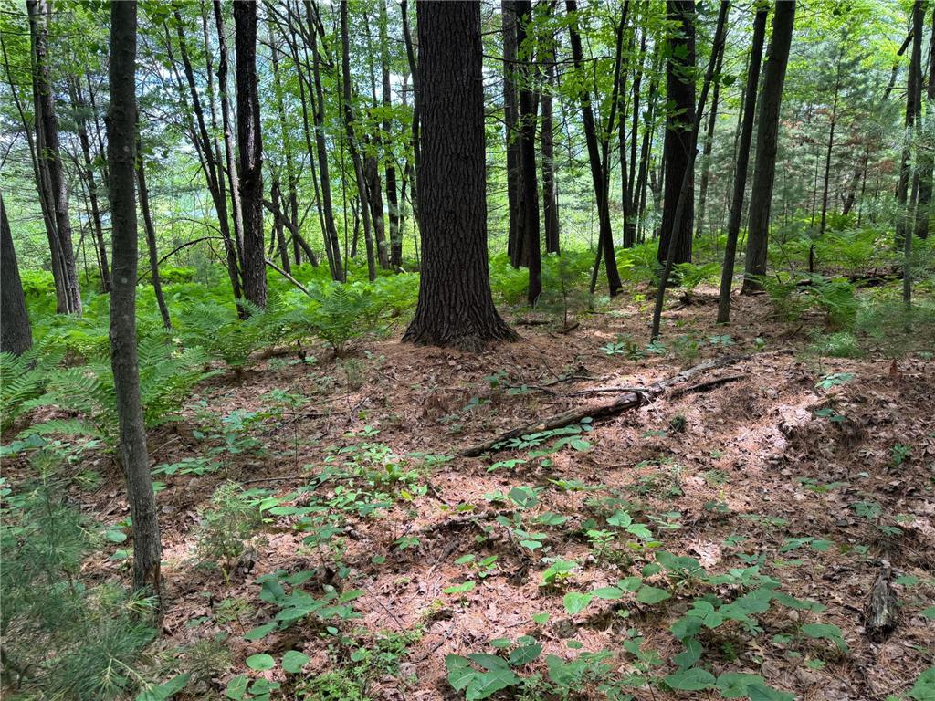 TBD Garden Dr Siren WI 54872 - Long Lake 7104970 image13