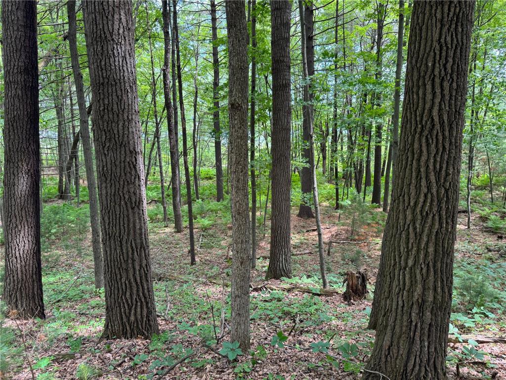 TBD Garden Dr Siren WI 54872 - Long Lake 7104970 image14